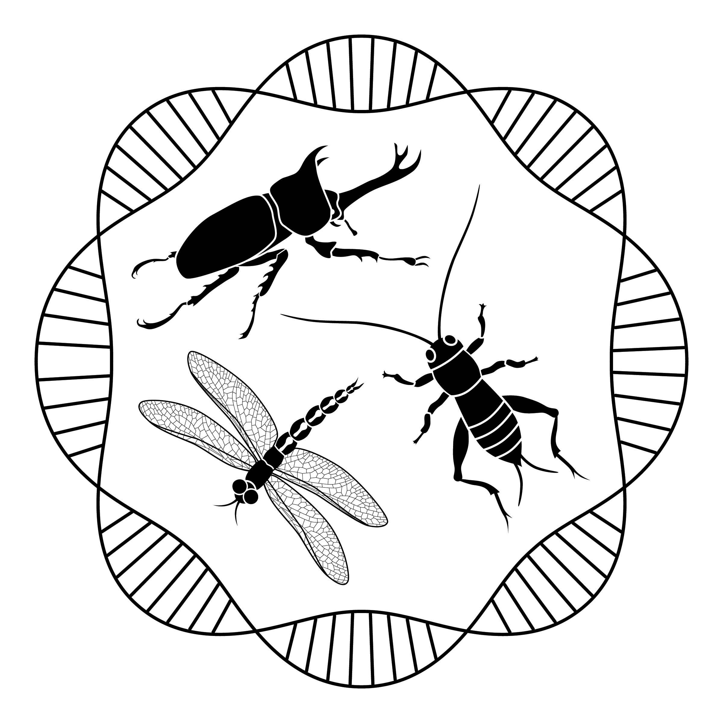 Non Traditional Arthropod Model Systems